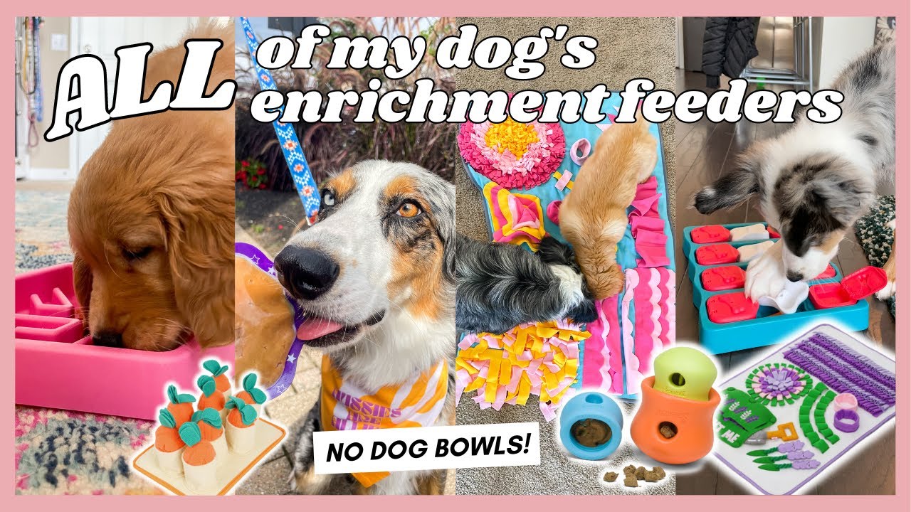 ALL of our Enrichment Feeders, Puzzles, & Snuffle Mats that My Dogs Use