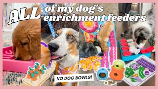 ALL of our Enrichment Feeders, Puzzles, & Snuffle Mats that My Dogs Use INSTEAD OF BOWLS!