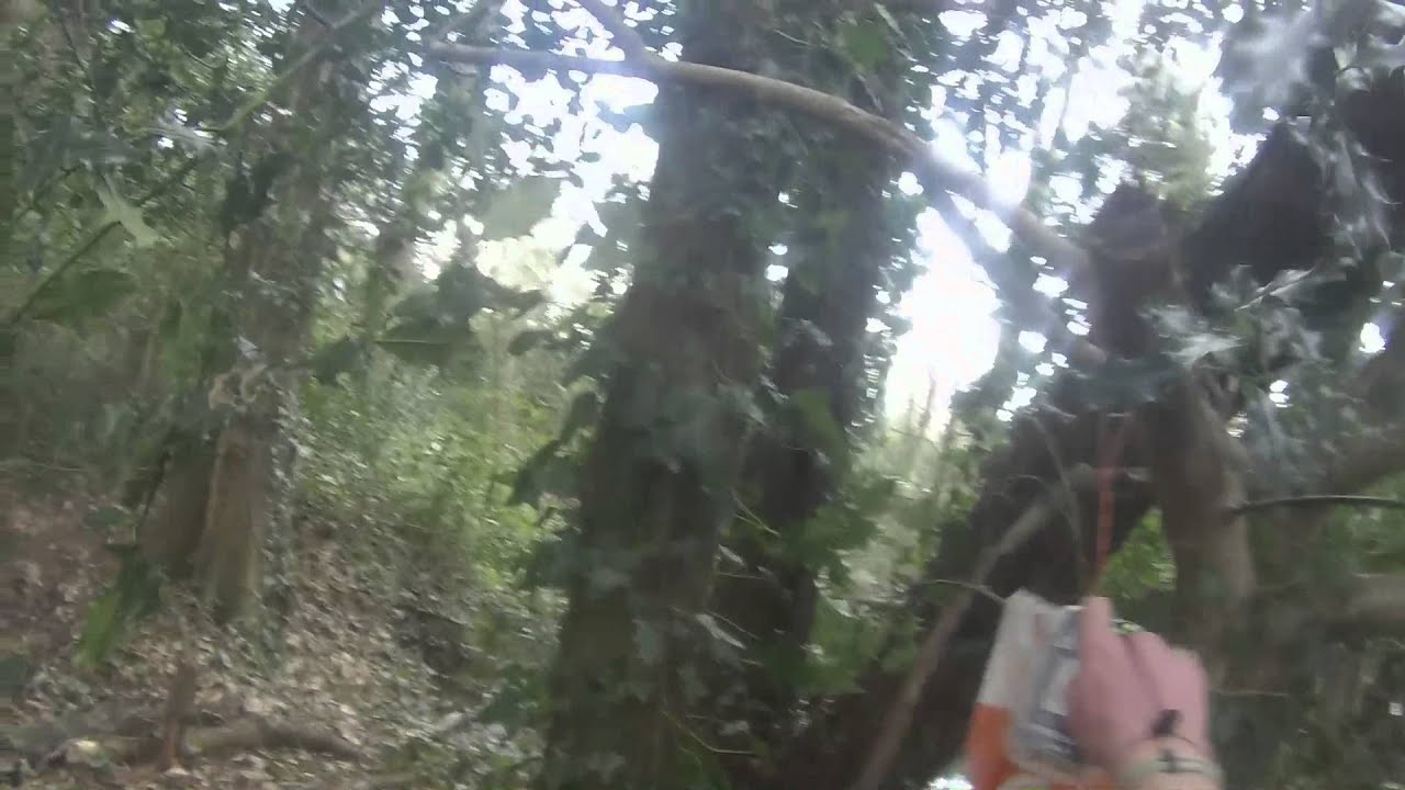 Orienteering "where the wild things are!!"