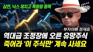 역대급 조정장에 오른 유망주식, 죽어라 '이 주식만' 계속 사세요 (부자아빠 정재호)