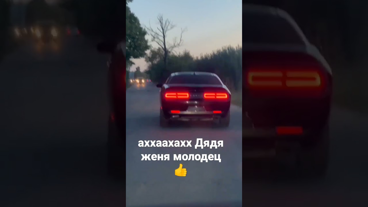 Додж паши пела