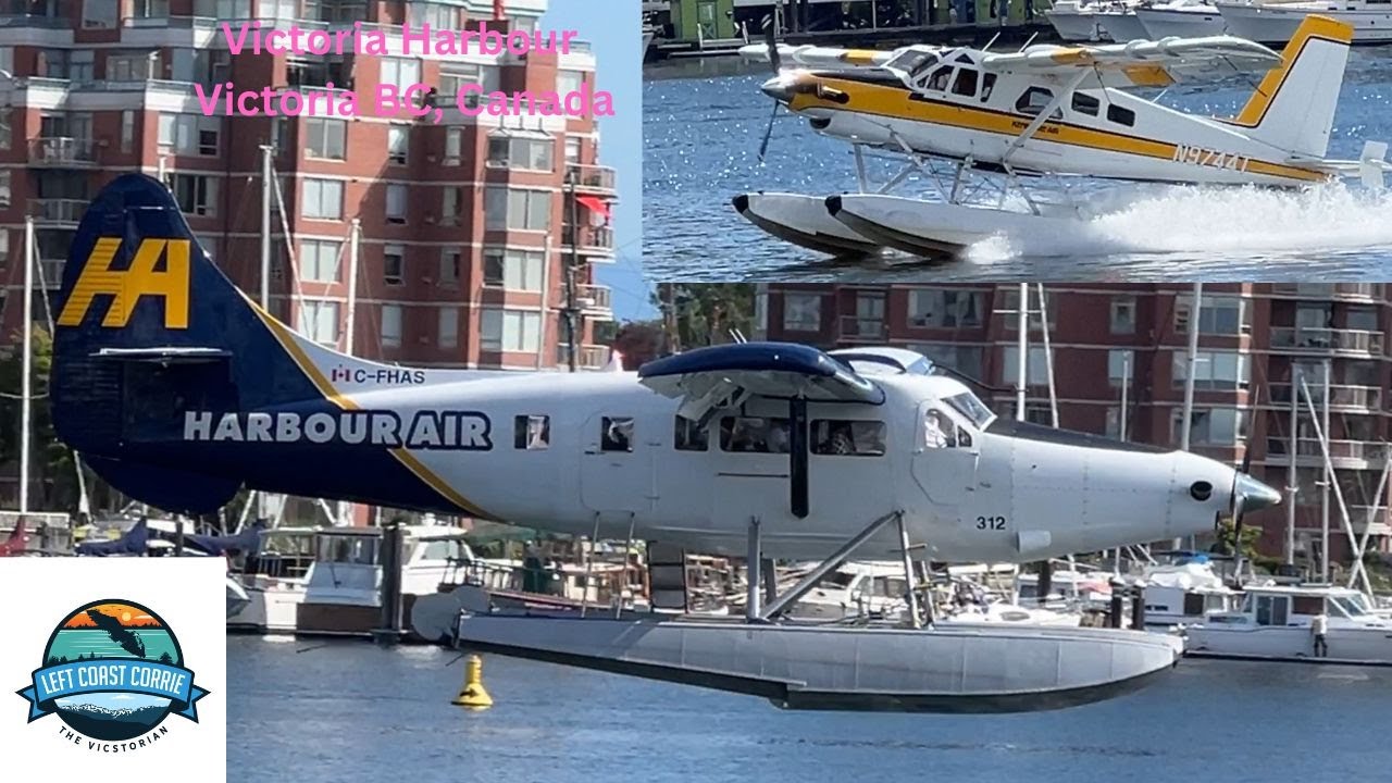 Spectacular Seaplane Spotting at Victoria Harbour-5 De Havilland Otters & A Turbo Beaver