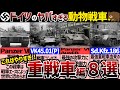 【戦車解説】重戦車ももれなく変身!大戦期ドイツのアニマル戦車8選! 【軍事解説】
