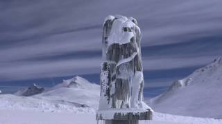 TP Icicles