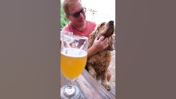 Honingklip Brew - South African Craft beer