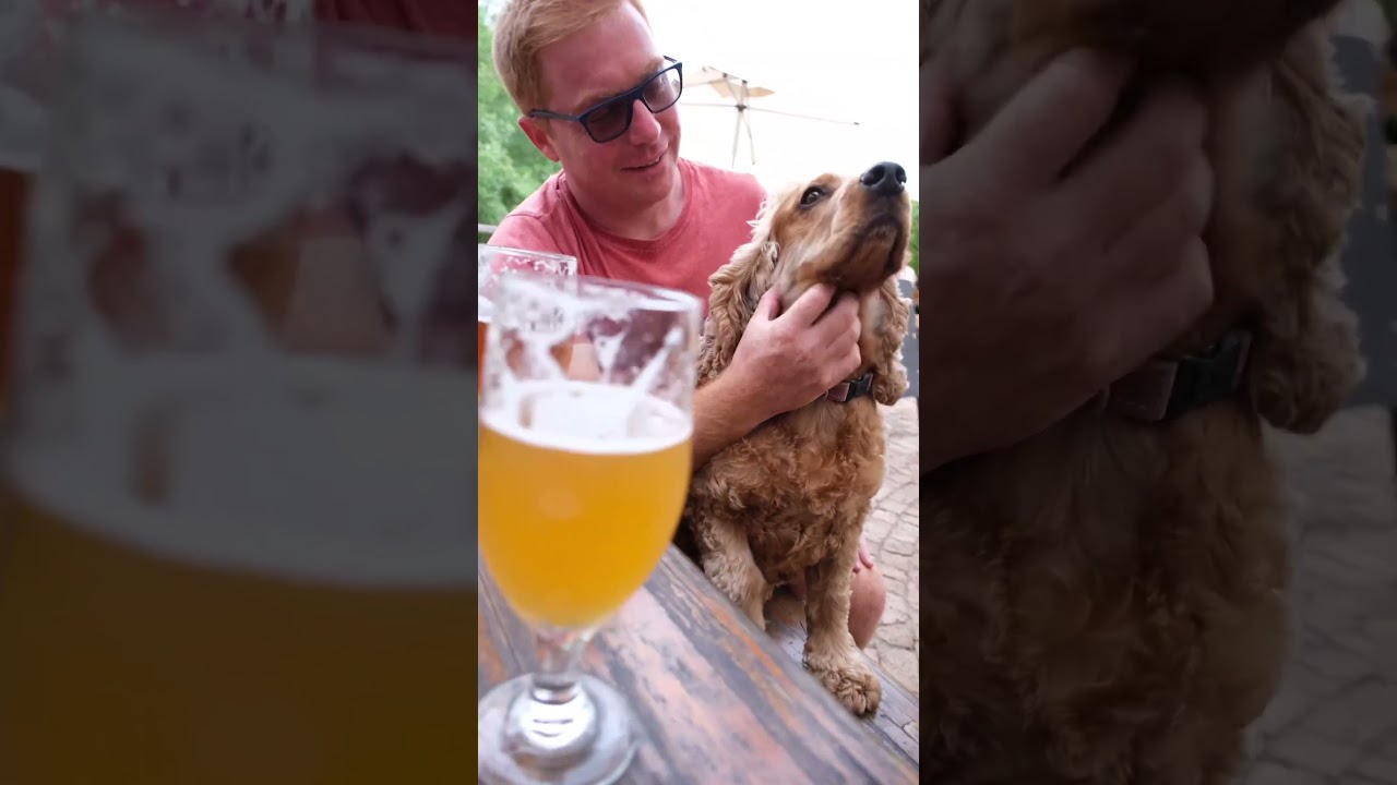 Honingklip Brew - South African Craft beer