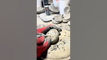 PREPARING A Perfect Fossil! #fossilhunting #geology #fossil #ammonites #fossilprep