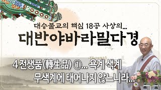 대반야경... 제 93 회...  4 전생품(轉生品) ①... 욕계 색계 무색계에 태어나지 않느니라...