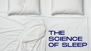 The Science of Sleep: How Circadian Rhythms Impact Immune and Hormonal Health