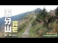 瑞芳著名賞芒景點，有「台灣萬里長城」美譽的五分山步道（Wufen Mountain Trail）