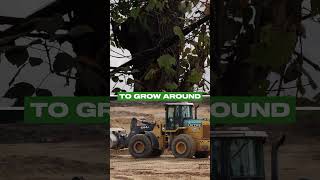 Cost of removing a Telephone Line