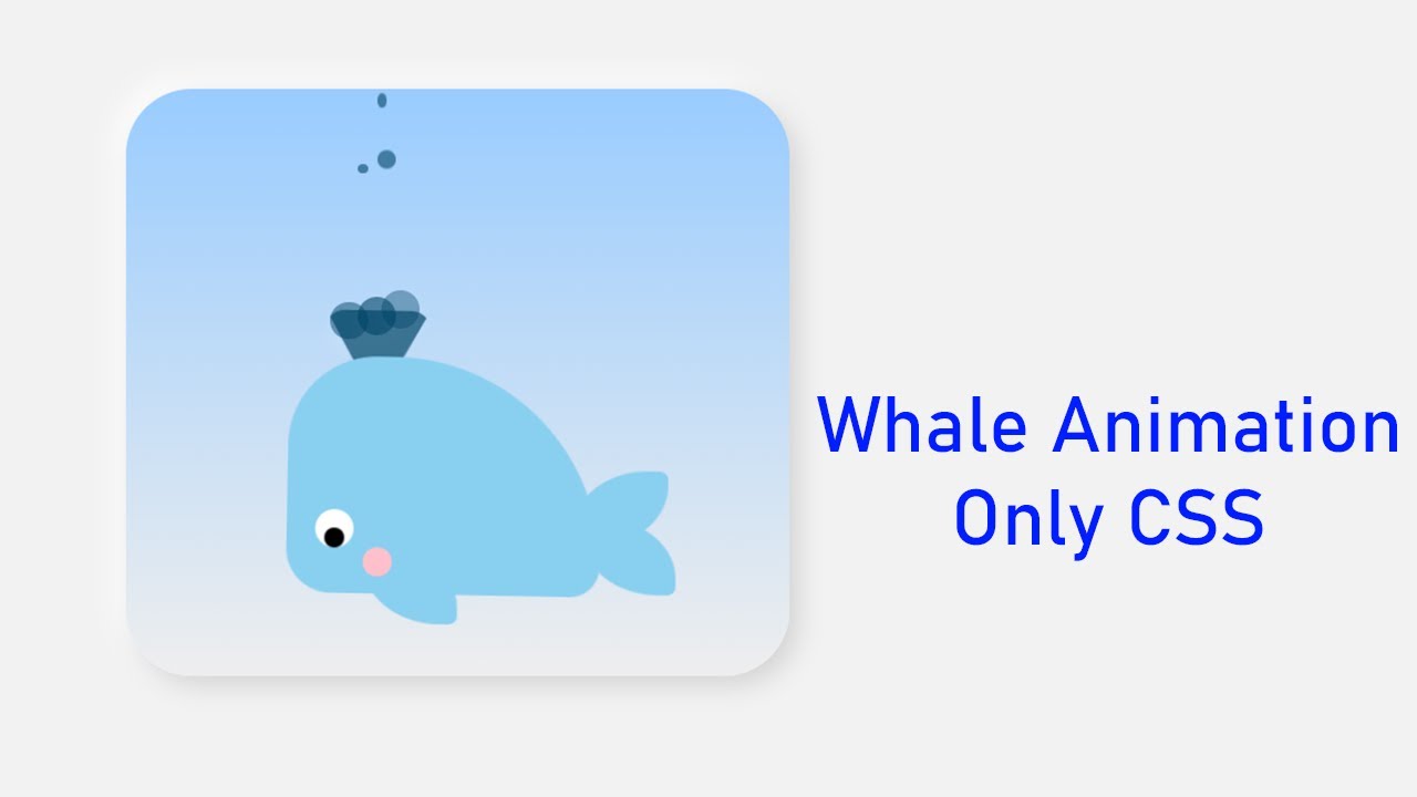 Whale Animation Only CSS | How To Make Whale Animation Using HTML CSS ...