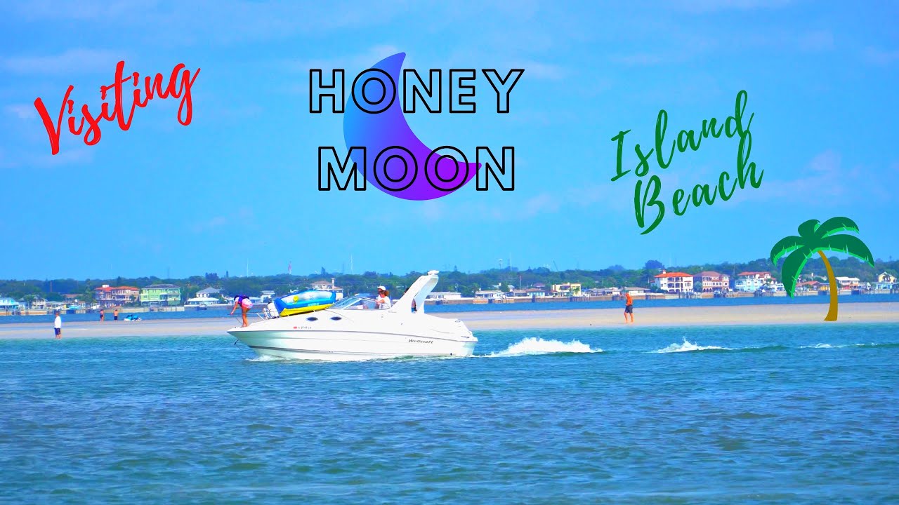 Visiting Honeymoon Island State Park (Pet Friendly Beach) while in