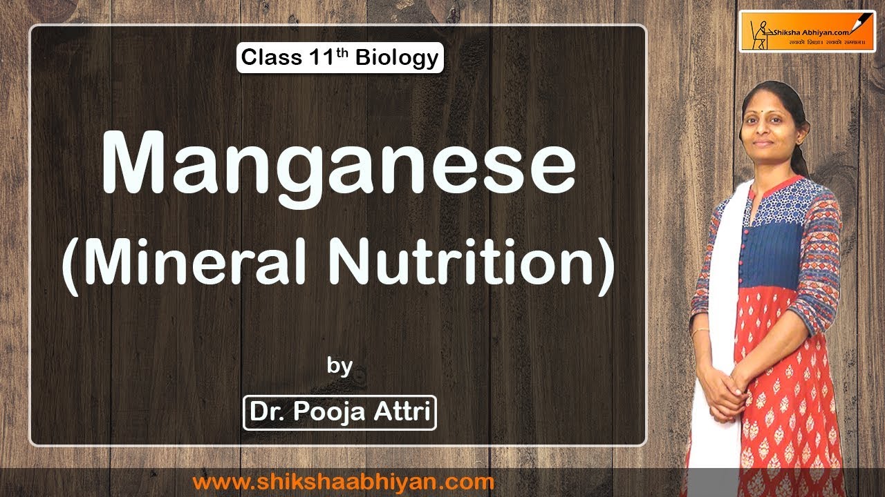Biology Mineral Nutrition ( Manganese ) - 