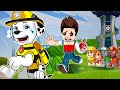 PAW Patrol The Mighty Movie | Why Did MARSHALL Turn Into Bee? Poor Dog! - Very Sad Story | Rainbow 3