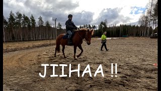 Miten Paukku ja Konittaja selviytyvät Saga Poudan ratsastustunnista ?