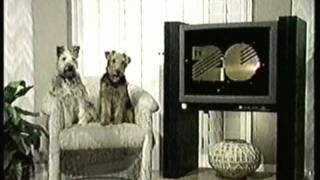 KOFY Station ID - Dreyfuss & Gordon