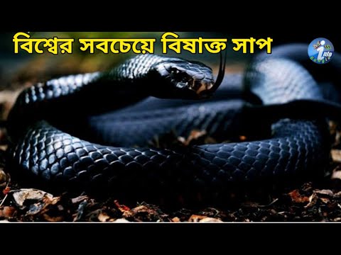 ভিডিও: চুলের পণ্যগুলিতে 10 টি সবচেয়ে বিষাক্ত উপাদান