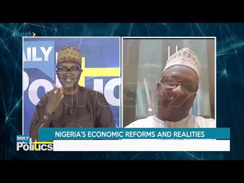 Daily Politics: Nigeria's economic reforms and realities