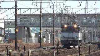 JR貨物 大物車 シキ180(2代)回送 EF65-1065 (9891レ 回7-1)⑤ 清洲駅 警笛