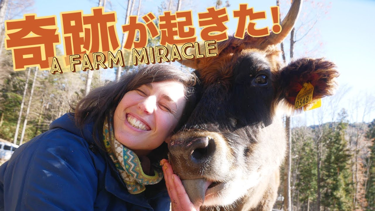 信じられない奇跡が起きた！｜A Farm Miracle
