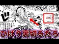 SWORDのひばりの正体は○○○と考察する読者の反応集【ワンピース】
