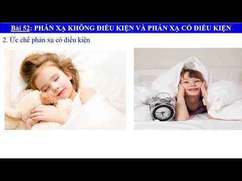 Video Bài 52: PHẢN XẠ KHÔNG ĐIỀU KIỆN VÀ PHẢN XẠ CÓ ĐIỀU... - youtube