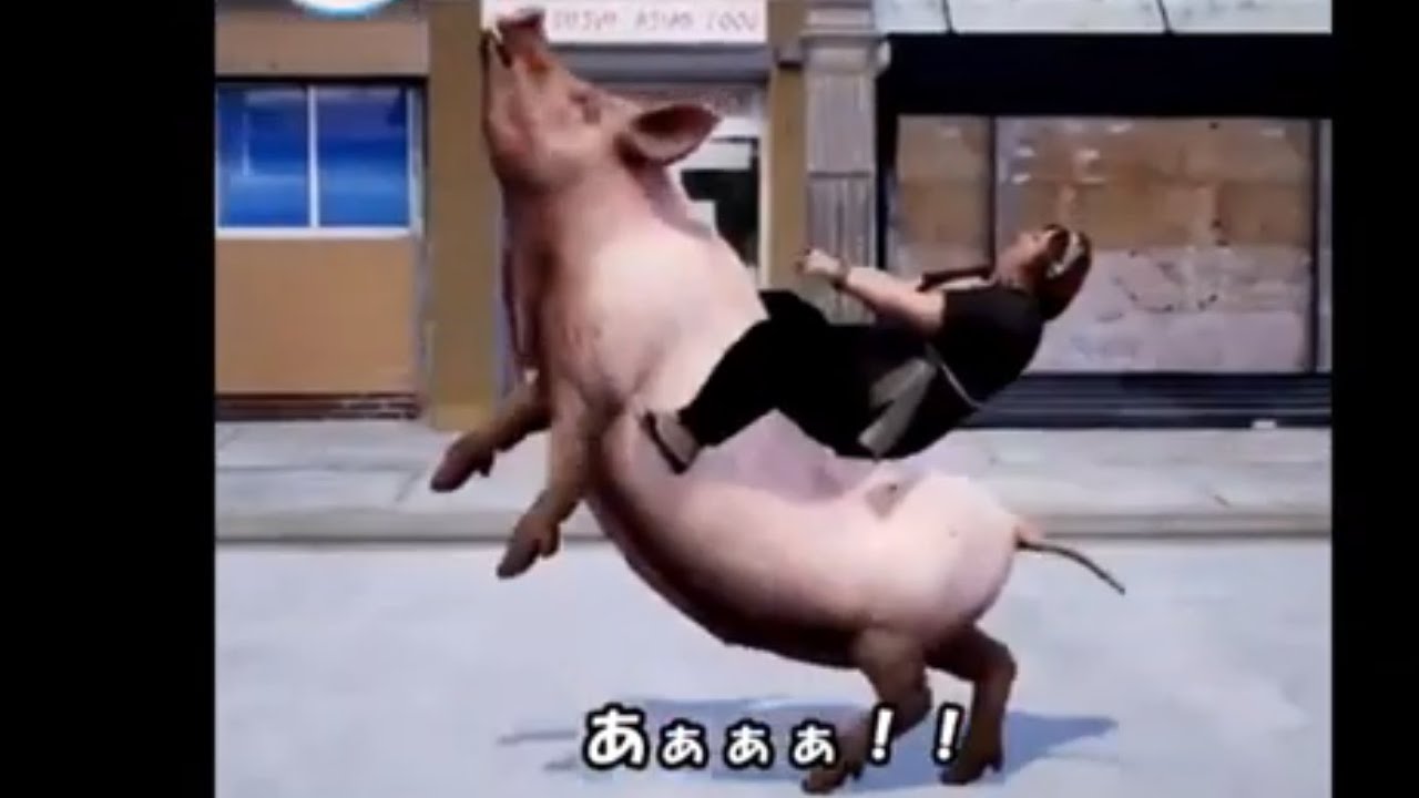 【おねがい社長！】広告欲張りセット18