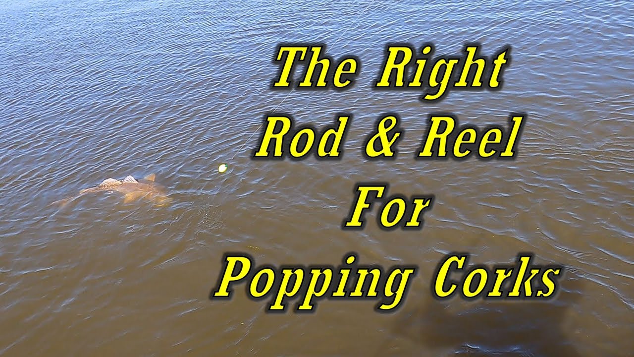 The best rod and reel for a popping cork YouTube