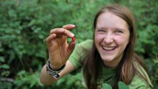 Bullfrog Films presents...EARTH SEASONED #GapYear