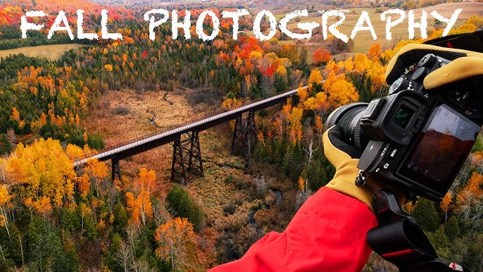 Trestle Dona Bay