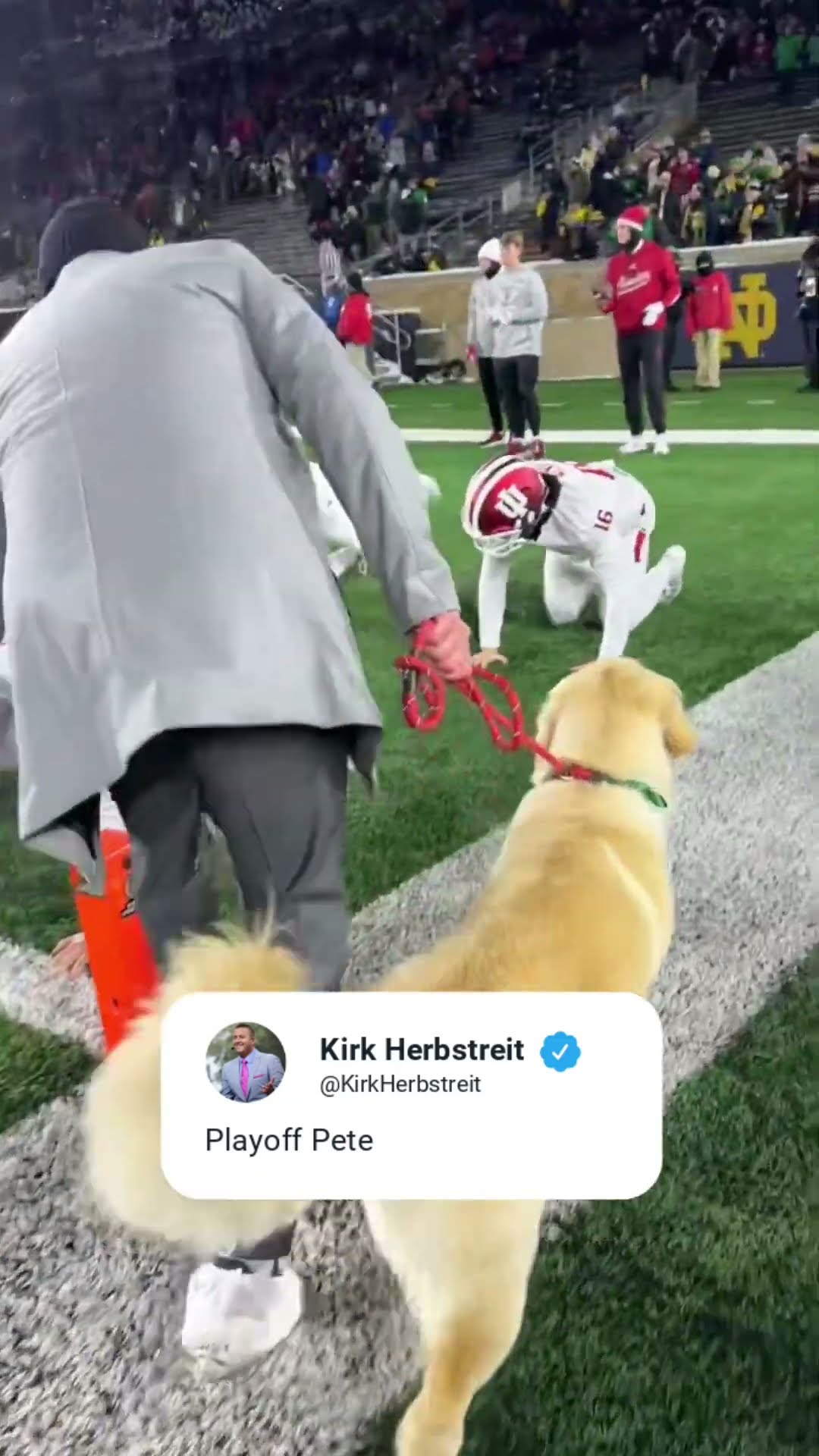 Playoff Pete ?