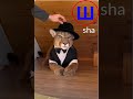 Stunning In A Hat Letter Ш Sha Shlyapa A Long Word That Has SH In The Middle Practice Stunning In A Hat Letter Ш Sha Shlyapa A Long Word That Has SH In The Middle Practice
