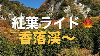 紅葉ライド🍁　香落渓へ　　#canondale #香落渓紅葉　#曽爾高原　#紅葉ライド　#insta360x4 