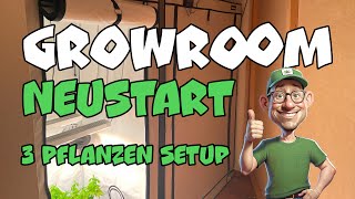 Neuer Grow Room Aufbau | Perfektes Setup für 3 Pflanzen Rotation