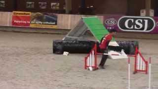 World Agility Open 2015 Games Snooker