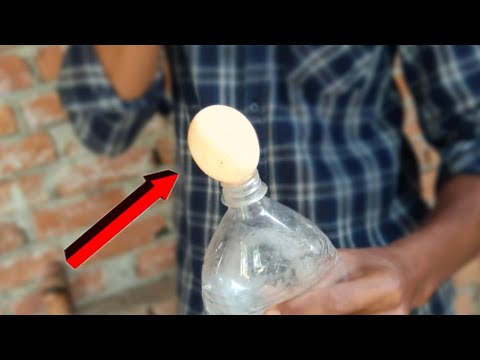 वीडियो: कच्चे अंडे को बोतल में कैसे डालें
