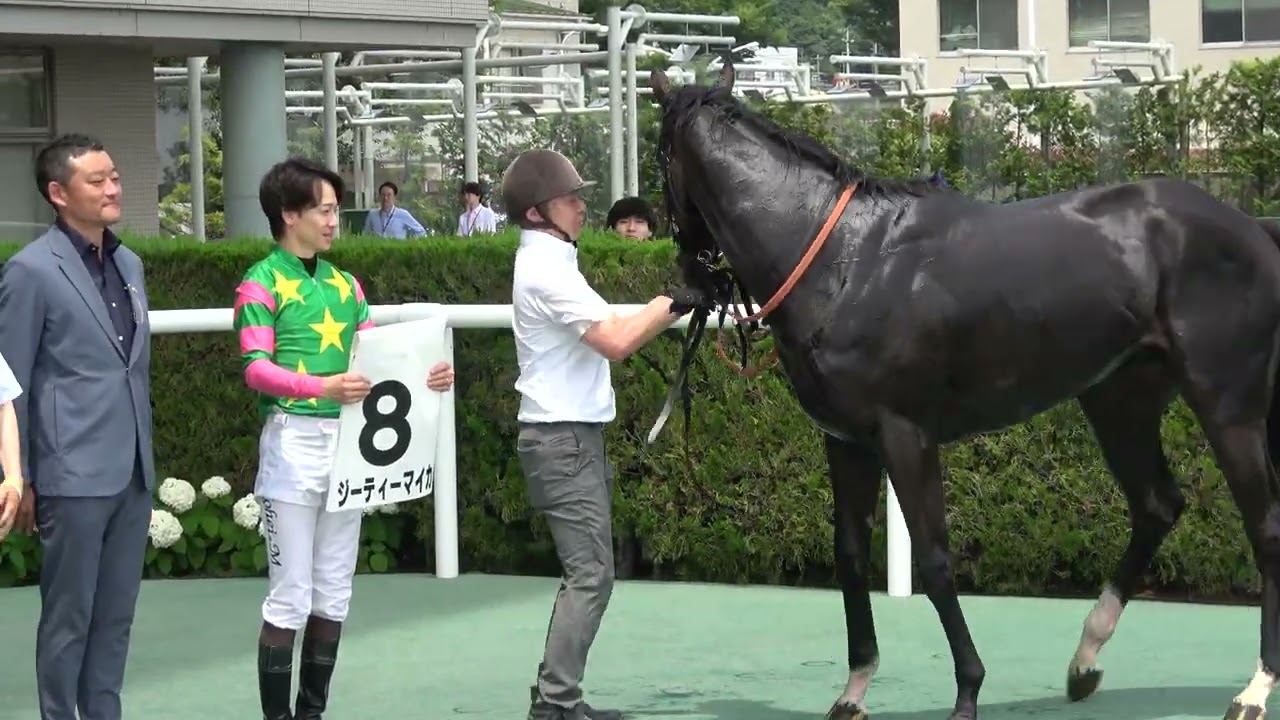 福島4Rジーティーマイカ号、松山弘平騎手口取り[2026.06.28]@福島競馬
