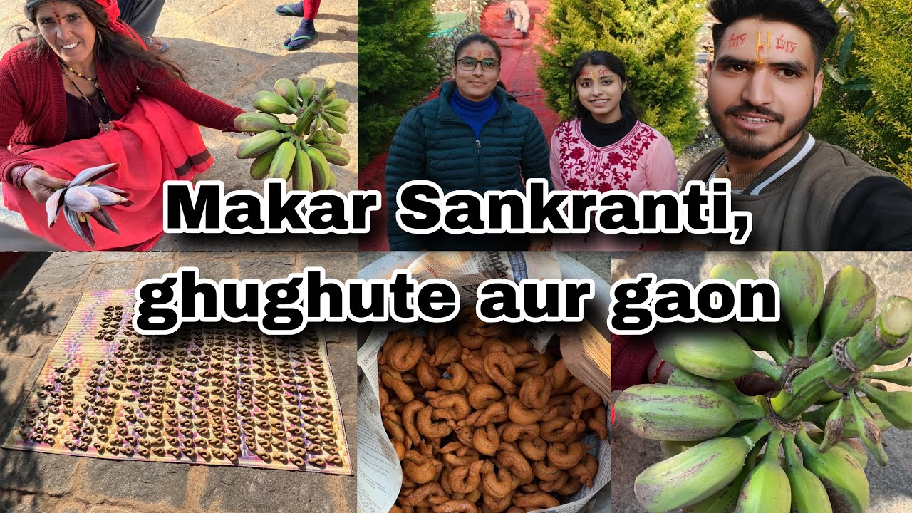 Makar sankranti || ghughute aur gaon ❤️🙌🏻