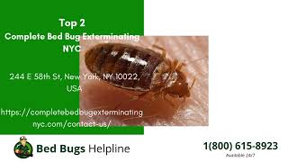 Top 3 Bed Bug Removal in Leawood