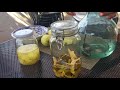 南イタリア、レモン農家でレモンチェッロの作り方を学ぶ#レモンチェッロ#イタリア#作り方
