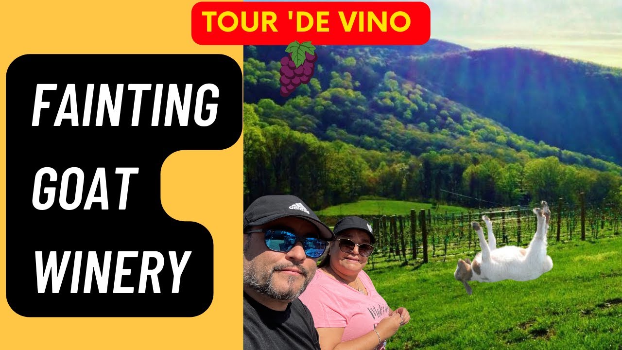 North Georgia Wine Trail - Fainting Goat  Vineyard & Winery