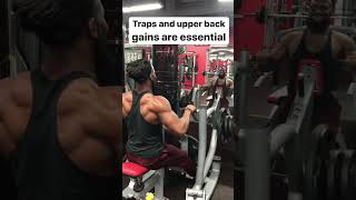 Workouts For Inner Back | Seated Weighted Rows