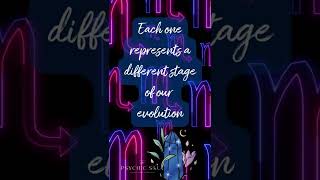 Archetypes of Scorpio | Eagle | Phoenix