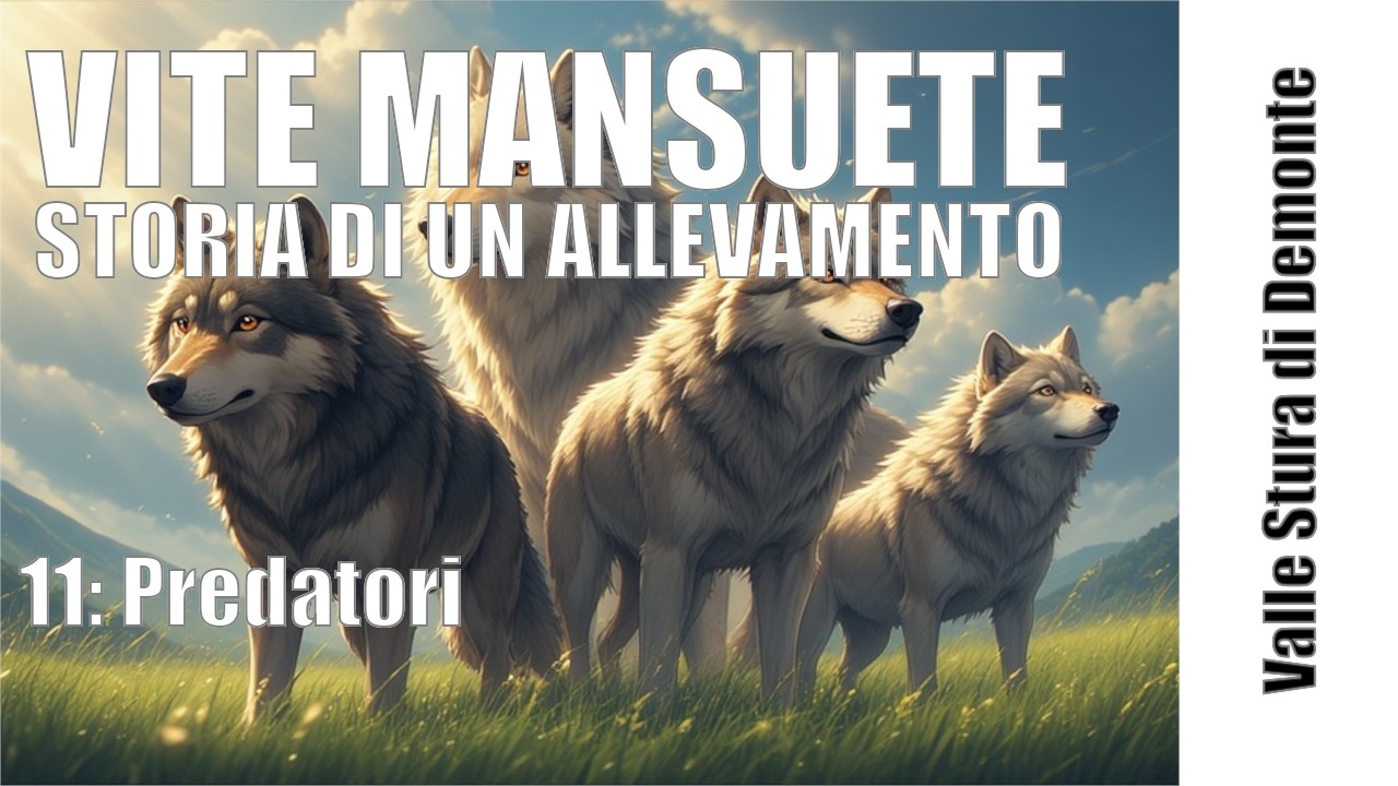 Episodio 11: Predatori - Vite Mansuete