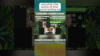 Dabster Morgan Cannabis Videographer on Cannabis Corner