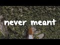tanner swift - never meant // legendado
