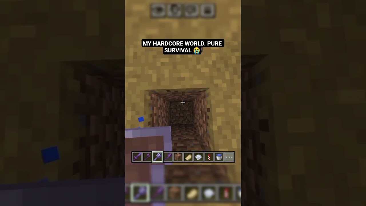 MY HARDCORE WORLD. PURE SURVIVAL 😭