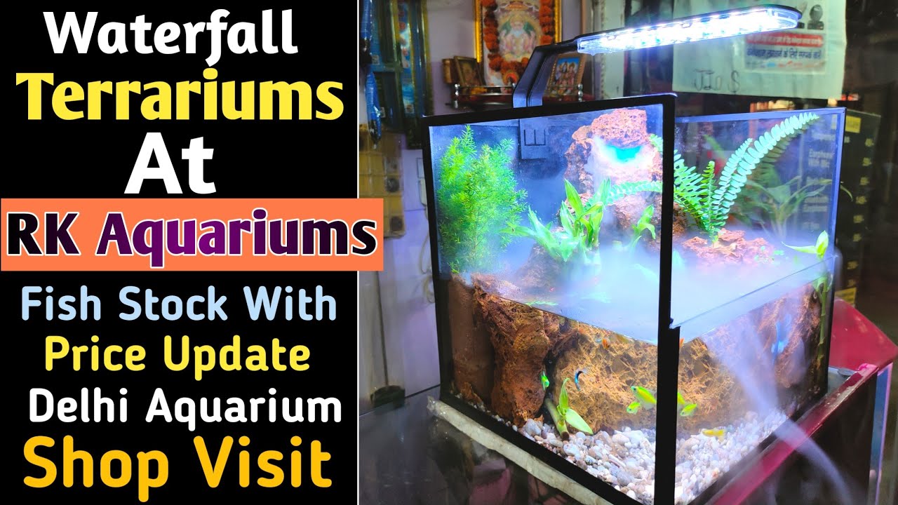 Waterfall Terrarium Setup For Sale In RK Aquarium Shop | Latest Fish Price & Stock Update | Plants