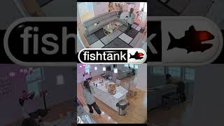 Fishtank Joise Stimming